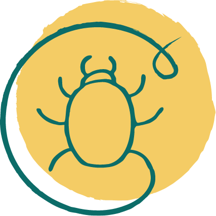 Flea-allergic dermatitis icon